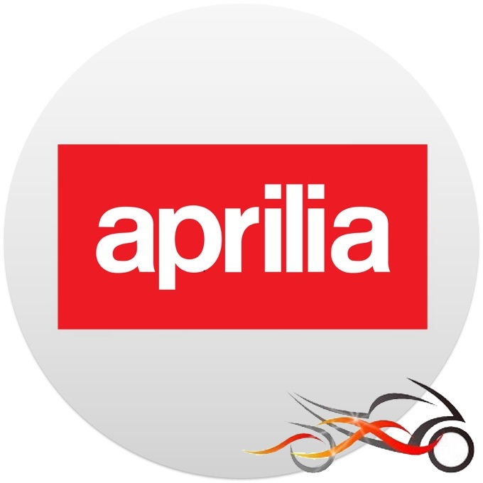 Aprilia RSV 1000 R, RSV1000R Factory 2004-2009