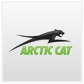 Arctic cat