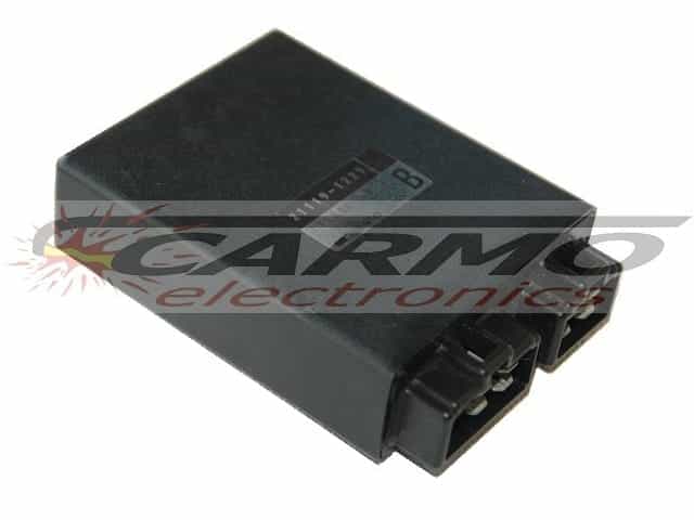 EL250 (21119-1229, 131800-5041) CDI ECU controller