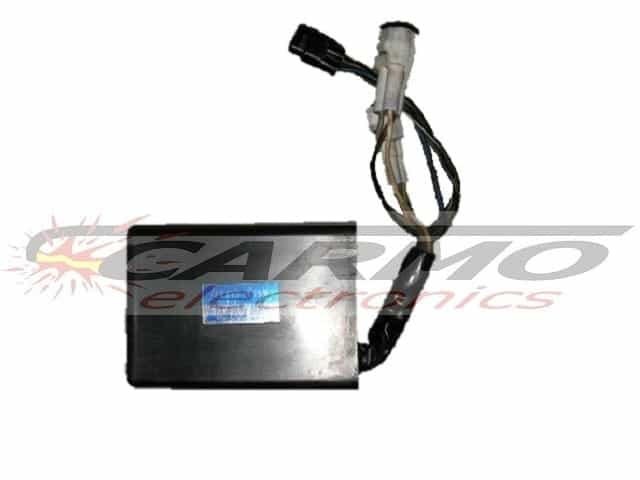 KLX250 (21119-1381, 21119-1399) CDI controller