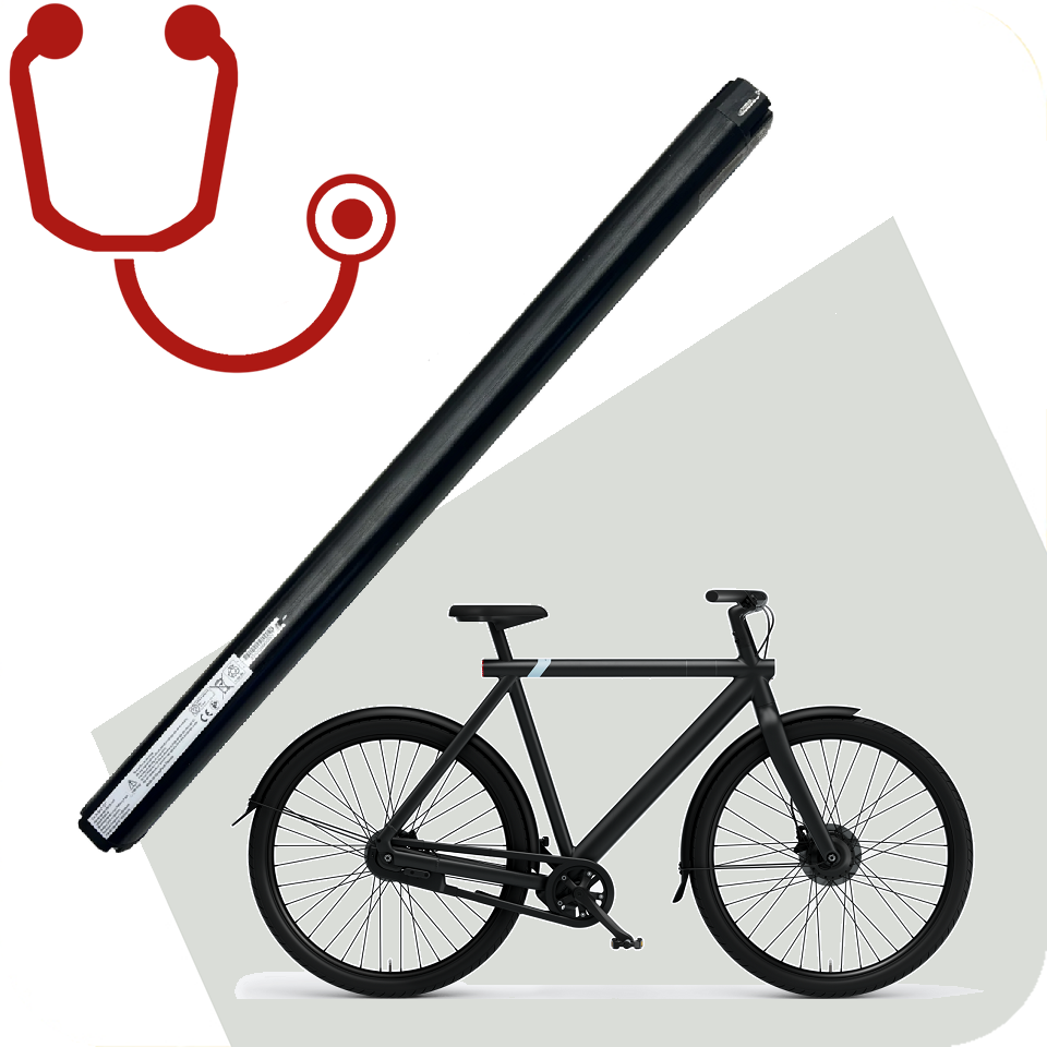 Costi di Ricerca Vanmoof S3 X3 batteria VM
