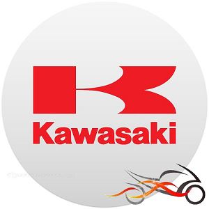 Kawasaki Z900 (2017)